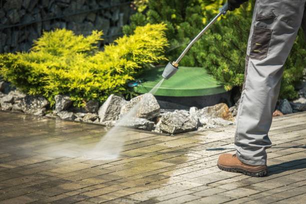 Best Animal Enclosure Cleaning  in Rmel By The Sea, CA